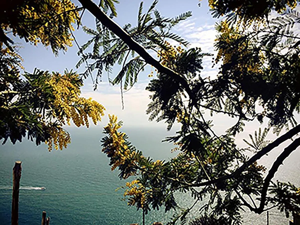 L'Antico Borgo Dei Limoni Bed & Breakfast Amalfi